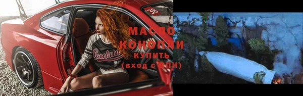 тгк Бородино