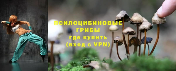 тгк Бородино
