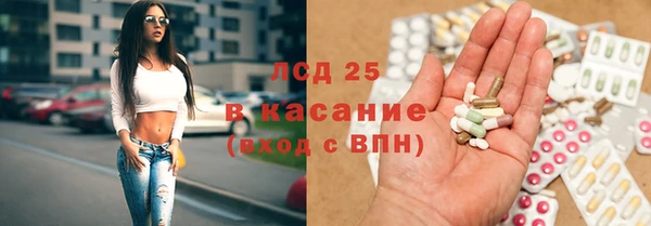 тгк Бородино