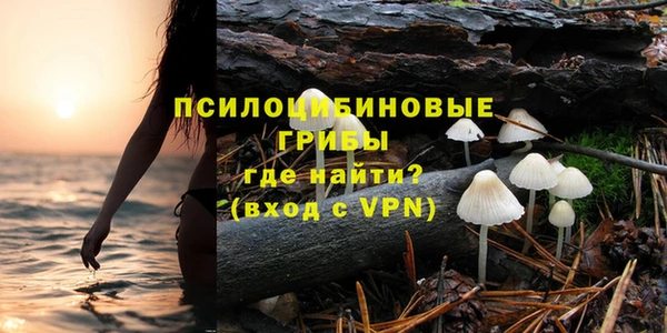 тгк Бородино