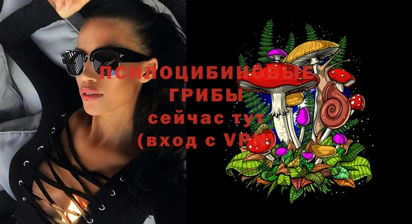 тгк Бородино