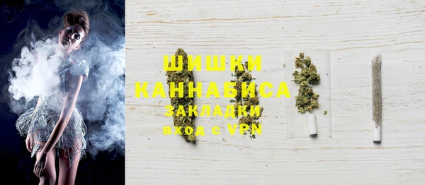 тгк Бородино